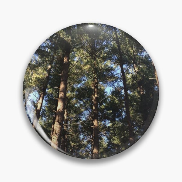 Item preview, Sun streaming through pine trees in the forest designed and sold by JuliVogel.