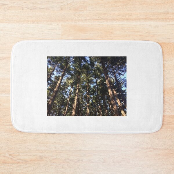 Item preview, Sun streaming through pine trees in the forest designed and sold by JuliVogel.