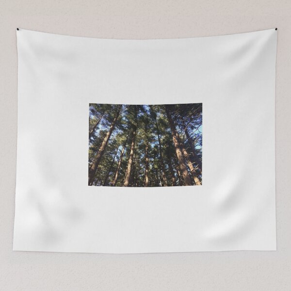 Item preview, Sun streaming through pine trees in the forest designed and sold by JV.