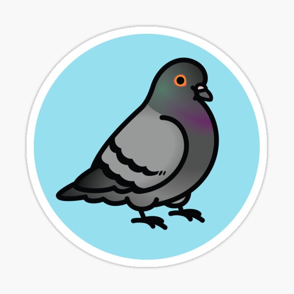 Chubby Pigeon Stickers for Sale