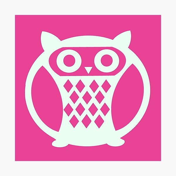 Pink Owl Photographic Print