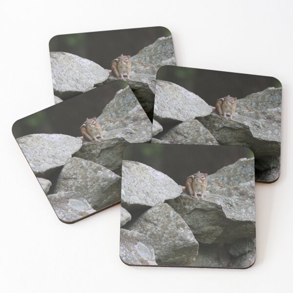 Item preview, Eastern Chipmunk on a Stone Wall designed and sold by LisaNaturePhoto.