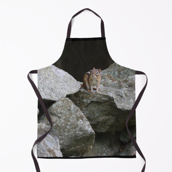 Item preview, Eastern Chipmunk on a Stone Wall designed and sold by LisaNaturePhoto.