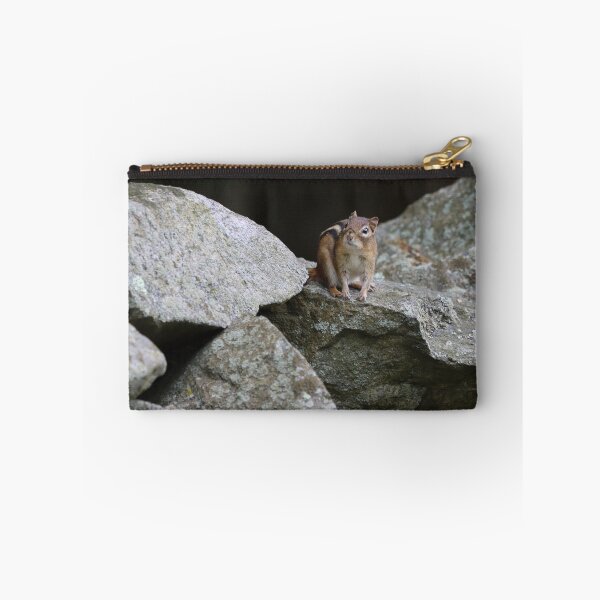 Item preview, Eastern Chipmunk on a Stone Wall designed and sold by LisaNaturePhoto.