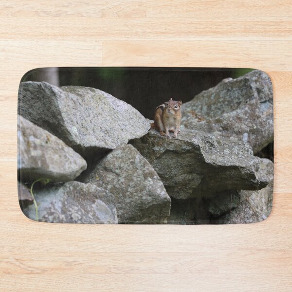 Item preview, Eastern Chipmunk on a Stone Wall designed and sold by LisaNaturePhoto.
