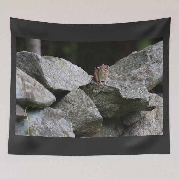 Item preview, Eastern Chipmunk on a Stone Wall designed and sold by LisaNaturePhoto.