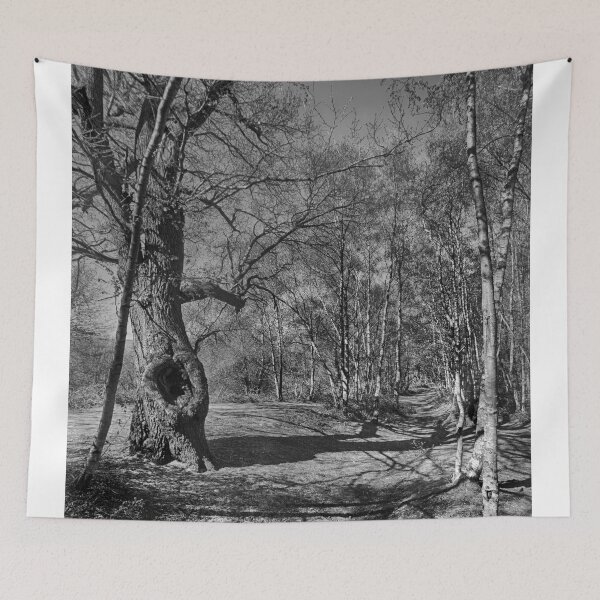 Item preview, Path To St Martha's. designed and sold by Dave Godden.