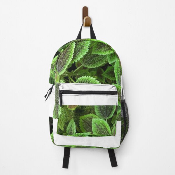 Item preview, Moon Valley Pilea leaves  designed and sold by JV.