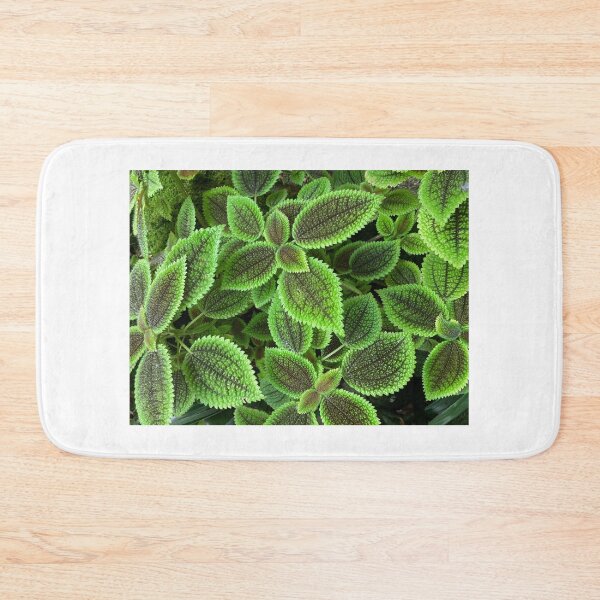 Item preview, Moon Valley Pilea leaves  designed and sold by JuliVogel.