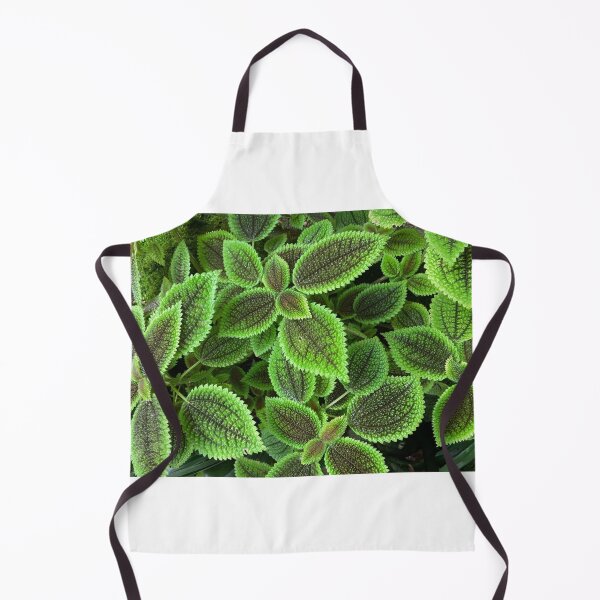 Item preview, Moon Valley Pilea leaves  designed and sold by JV.