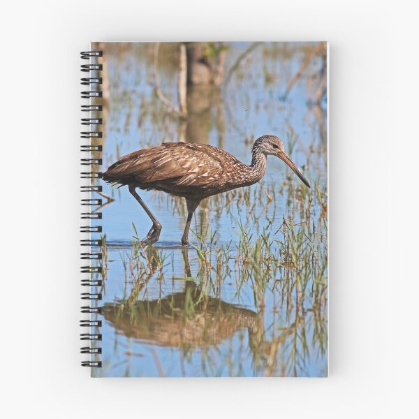 Item preview, The Limpkin Reflection designed and sold by Michiale.