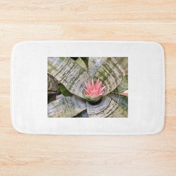 Item preview, Pink bromeliad flower designed and sold by JuliVogel.