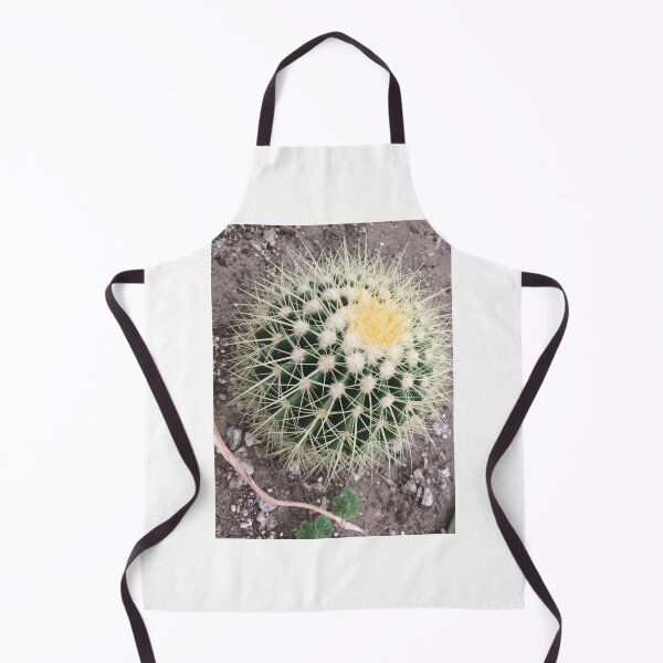 Item preview, Barrel cactus designed and sold by JuliVogel.