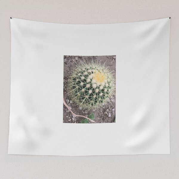 Item preview, Barrel cactus designed and sold by JuliVogel.