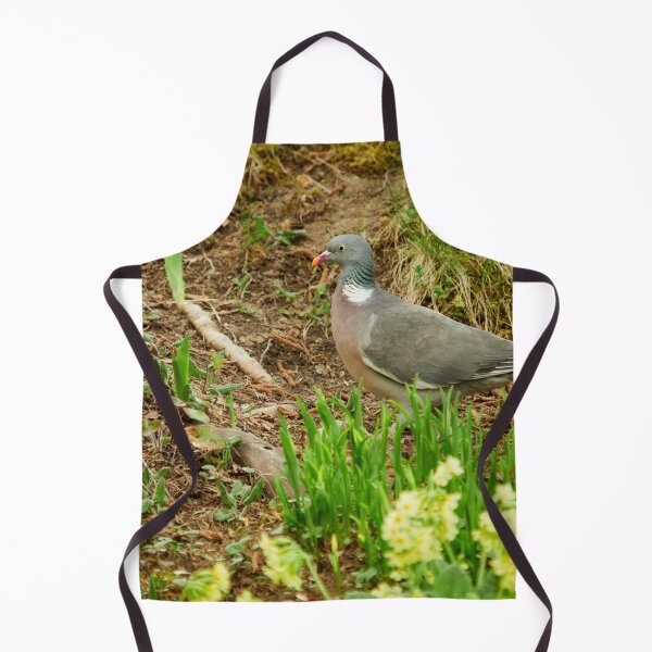 Item preview, The time of the cowslip primroses. Common wood pigeon designed and sold by Jouko Lehto Photography.