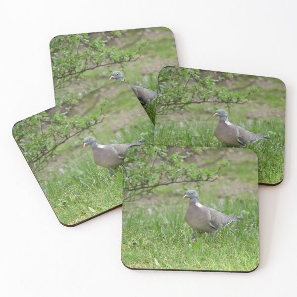 Item preview, Love of the greens. Common wood pigeon designed and sold by Jouko Lehto Photography.