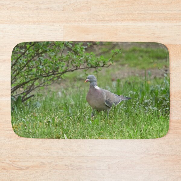 Item preview, Love of the greens. Common wood pigeon designed and sold by Jouko Lehto Photography.