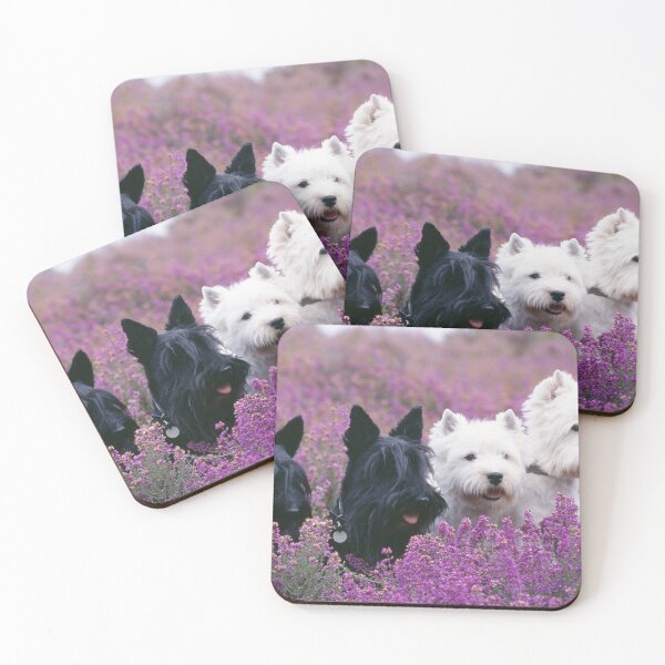 Item preview, Two White West Highland Terriers (Westies), Two Black Scottish Terriers (Scotties) designed and sold by ScienceSource.