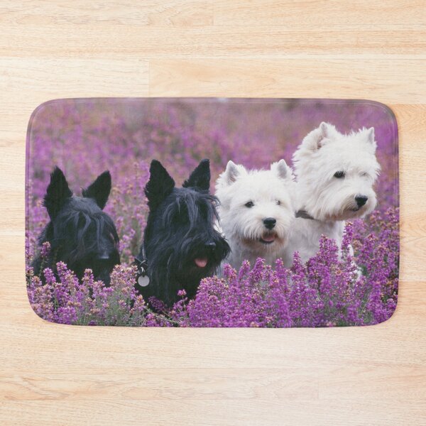 Item preview, Two White West Highland Terriers (Westies), Two Black Scottish Terriers (Scotties) designed and sold by ScienceSource.