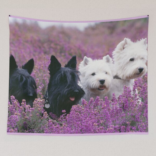 Item preview, Two White West Highland Terriers (Westies), Two Black Scottish Terriers (Scotties) designed and sold by ScienceSource.