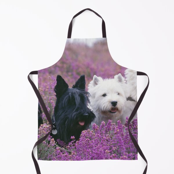 Item preview, Two White West Highland Terriers (Westies), Two Black Scottish Terriers (Scotties) designed and sold by ScienceSource.