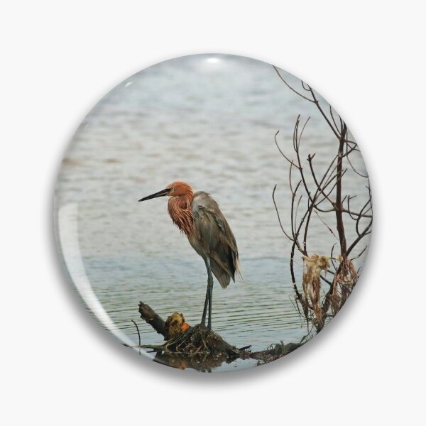 Item preview, Still Hanging Around  designed and sold by Michiale.