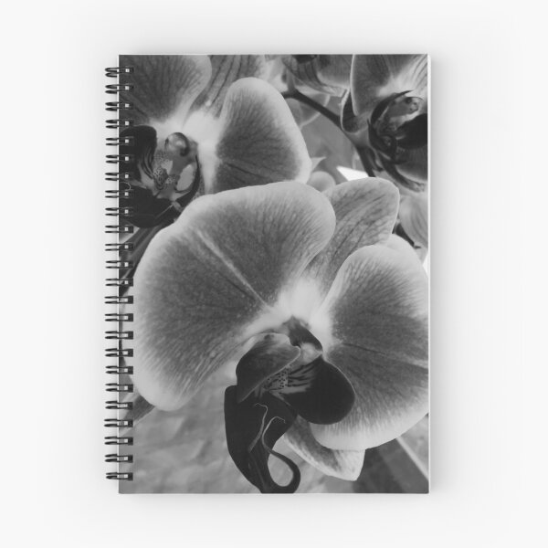 Item preview, Hope Blooms  designed and sold by GFPhotography.