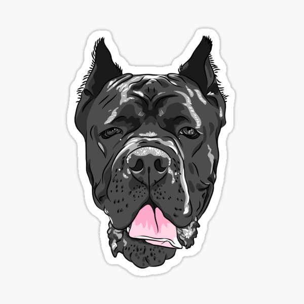 Puppy cane corso - peeking dogs breed face head Vector Image