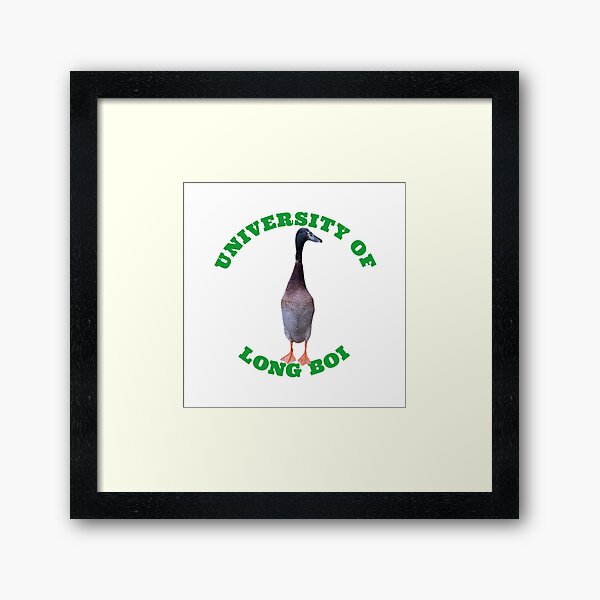 University of Long Boi Framed Art Print