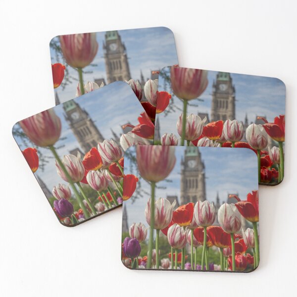 Item preview, Canada Tulip Festival designed and sold by mrdarcyryan.