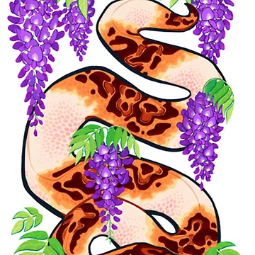 Artwork thumbnail, Python Tshirt Ball python |Gift shirt python by ellagnonmay