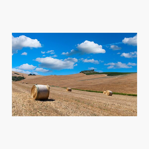 Summer landscape of Val D Orcia Photographic Print