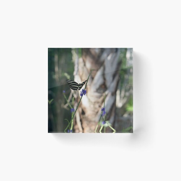 Item preview, zebra longwing designed and sold by distracted.