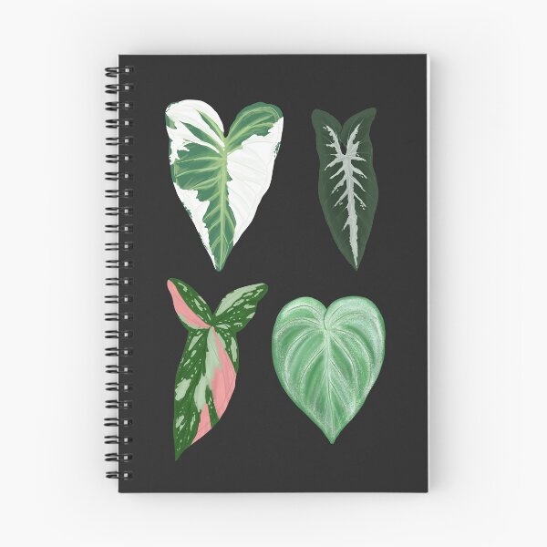 Item preview, Syngonium Suite designed and sold by girlwhoplants.