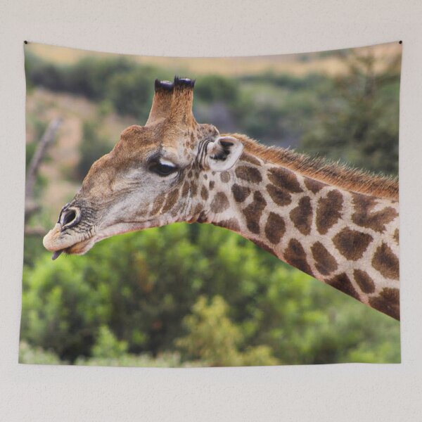 Item preview, Giraffe in Africa designed and sold by neta98.