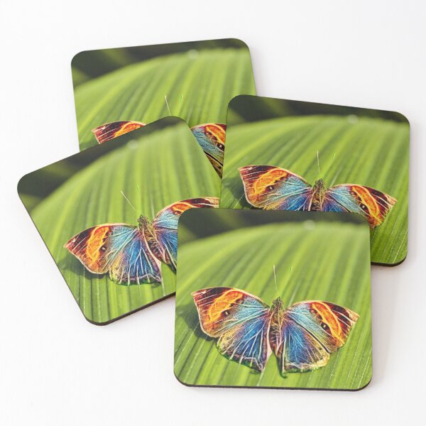 Item preview, indian leaf butterfly – kallima inachus – イ ン ド の 葉 の 蝶 ¦ designed and sold by nature. electrified..