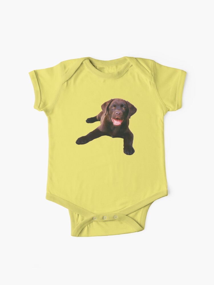 Chocolate lab baby clothes best sale