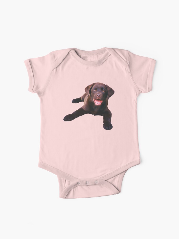 Chocolate lab shop baby clothes