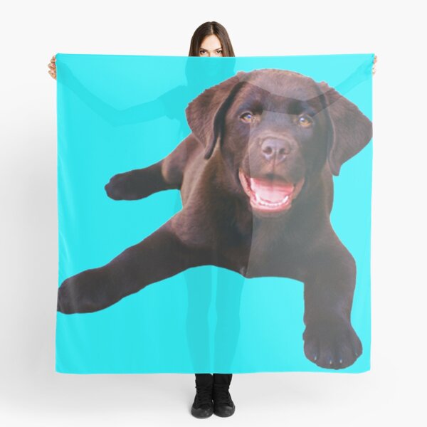 Item preview, chocolate lab designed and sold by NoBox-Supreme.