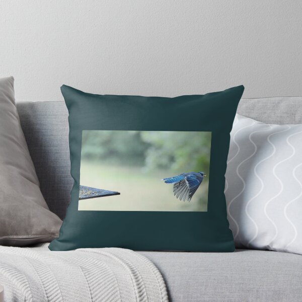 Item preview, Bluejay in flight designed and sold by Laurie Minor.