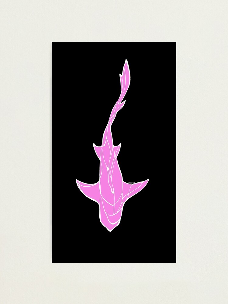 Black/Pink Line Art White Shark Ocean Themed Design Lemon, Tiger, Cookie  Cutter Shark Photographic Print for Sale by Celosia Liv