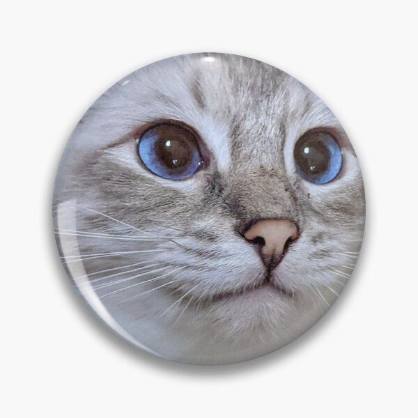 Item preview, Copy of Saoirse the lynx ragdoll princess designed and sold by Fluffycat2020.