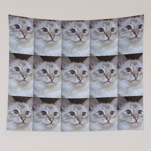 Item preview, Copy of Saoirse the lynx ragdoll princess designed and sold by Fluffycat2020.