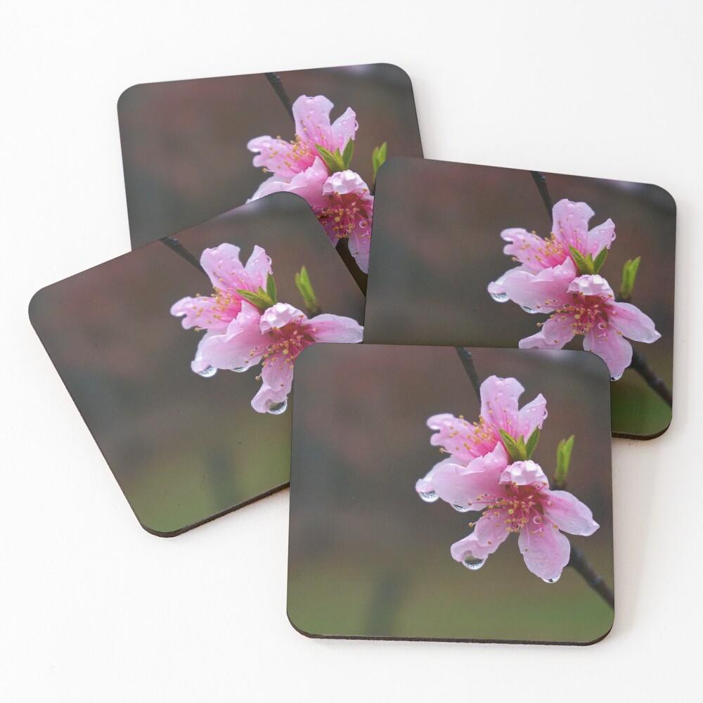 Item preview, Coasters (Set of 4) designed and sold by e-rex.
