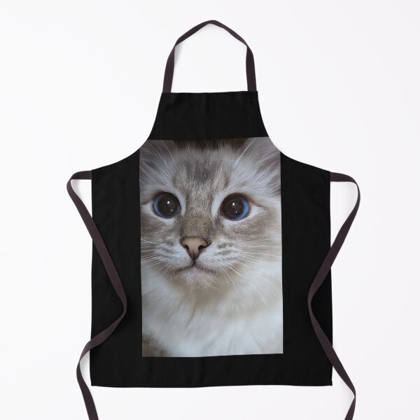 Item preview, Copy of Saoirse the lynx ragdoll princess designed and sold by Fluffycat2020.