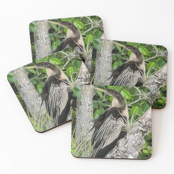 Item preview, Bird, Everglades National Park 2021 designed and sold by Emucatapults.