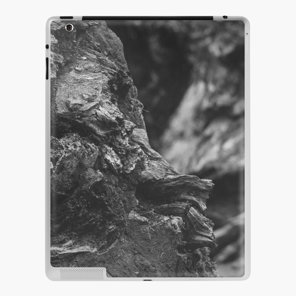 Item preview, iPad Skin designed and sold by ShinyPhoto.