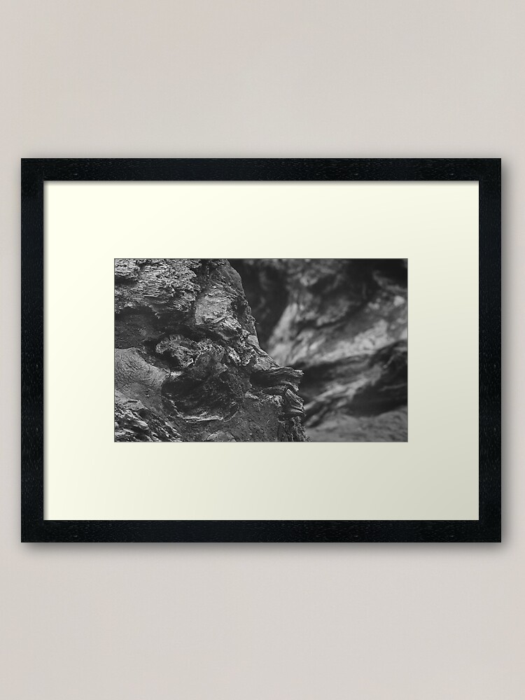 Framed Art Print, Around Kinclaven (1): Up Close designed and sold by ShinyPhoto