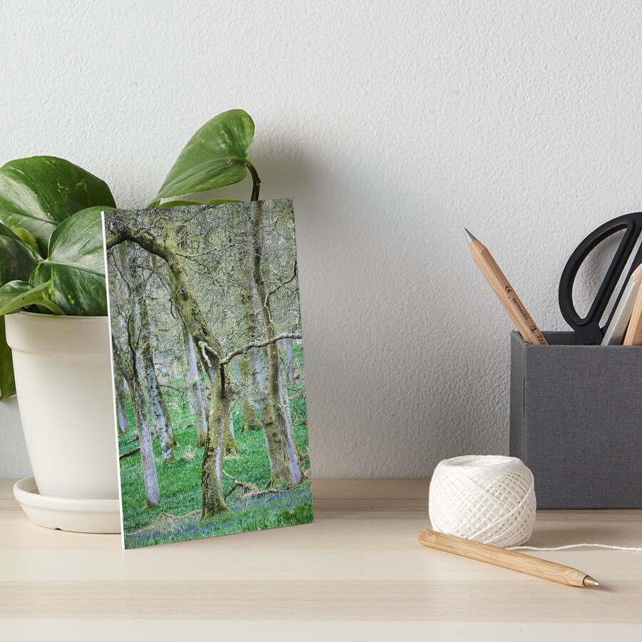 Item preview, Art Board Print designed and sold by ShinyPhoto.