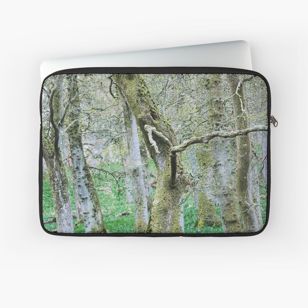 Item preview, Laptop Sleeve designed and sold by ShinyPhoto.